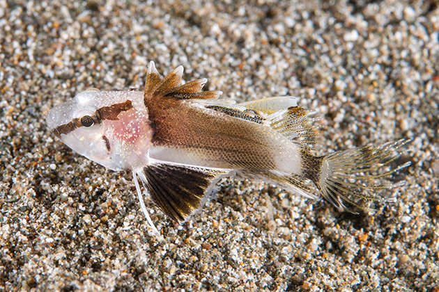 DSC_3402.jpg